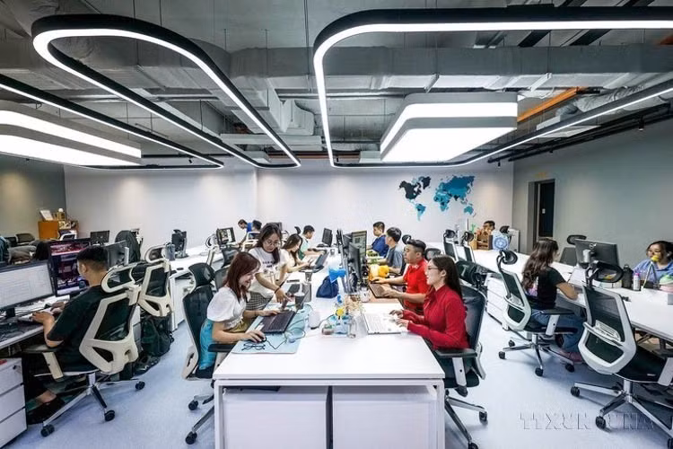 Tuoi Tre Newspaper puts into operation a newsroom based on digital transformation in a modern, multi-functional and creative style, marking a new development milestone of the newspaper on the occasion of its 50th anniversary (December 26, 2024). (Photo: Published by VNA)