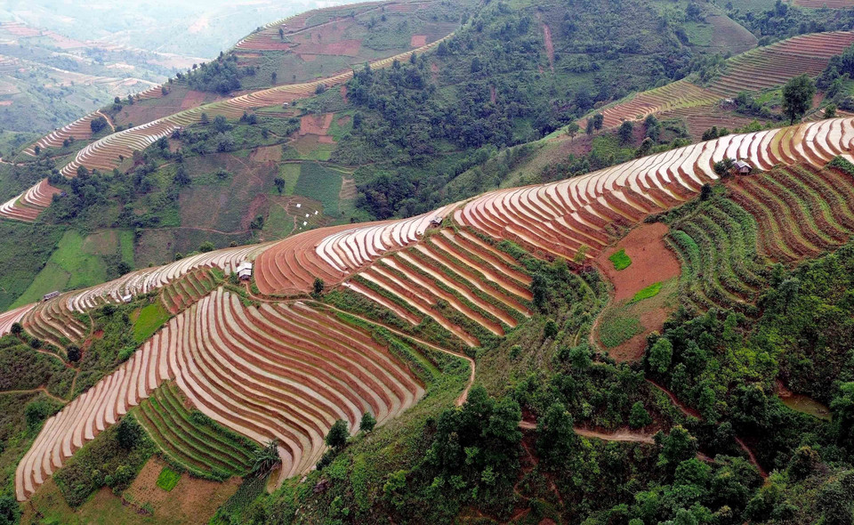 Terraced fields in Xim Vang commune, Bac Yen district, Son La province. (Photo: VNA)