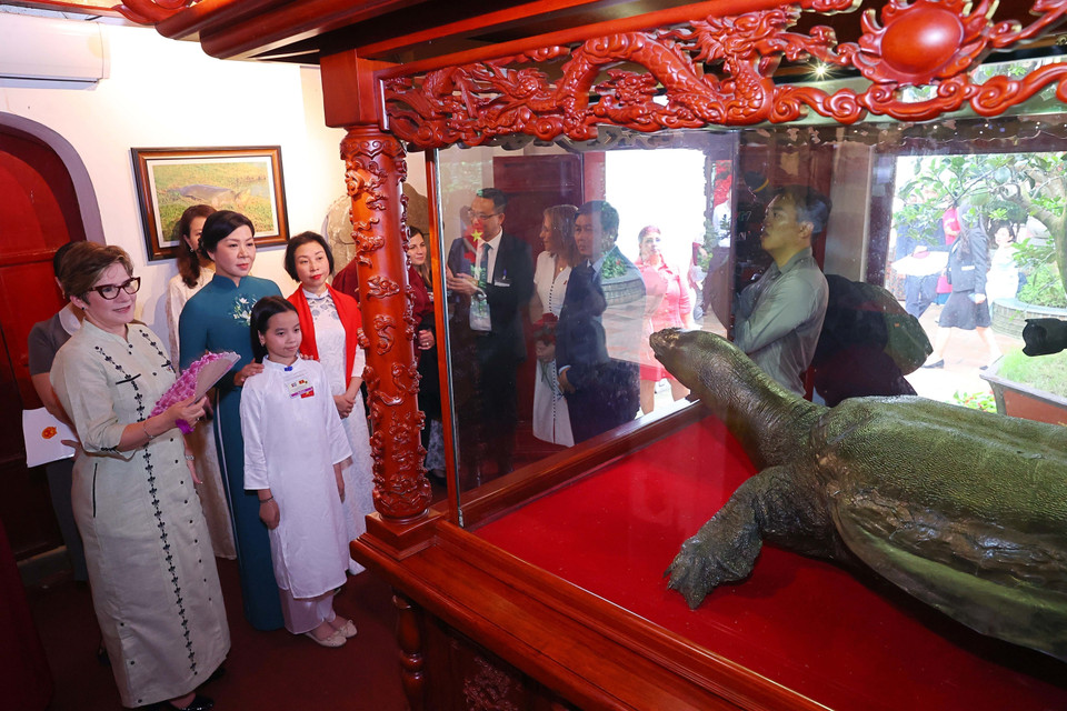 The two spouses view the preserved Ho Guom turtle specimen. (Photo: VNA)