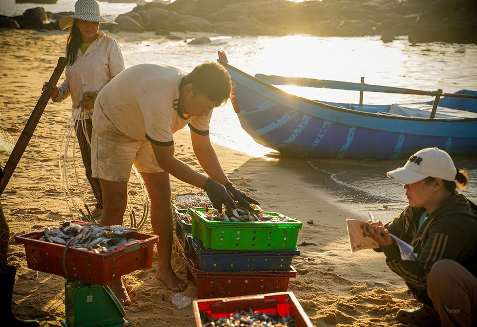 Seafood is purchased directly after being caught. (Photo: VNA)