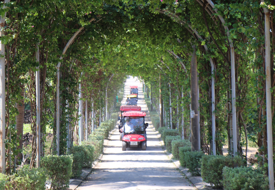 A green bougainvillea road takes tourists to the beach on Be Island. (Photo: VNA)