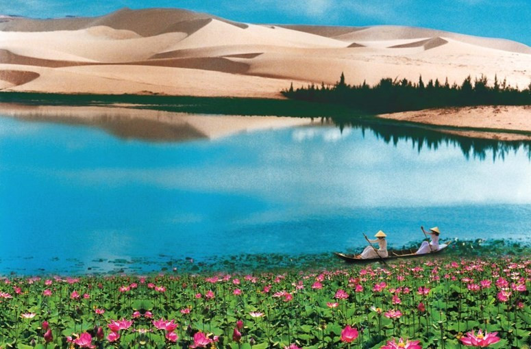 Visiting Bau Trang during the lotus blooming season, tourists will have another option to experience, which is rowing a boat around the lake filled with the fragrant scent of lotus. (Photo: Suntravelgroup)