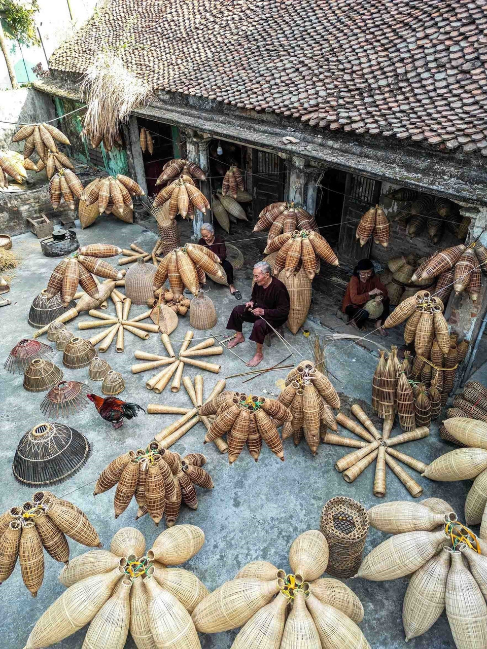Weaving fish traps is more than a livelihood – it’s a cultural legacy of the Red River Delta. (Photo: VNA)