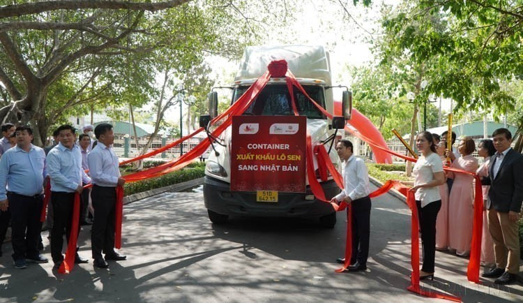 A ceremony to announce the export of lotus roots to Japan, with an order valued at nearly 1 billion VND, organized by the Dong Thap Lotus Industry Association and Dai Viet Lotus Foods JSC (May 7, 2024). (Photo: VNA)