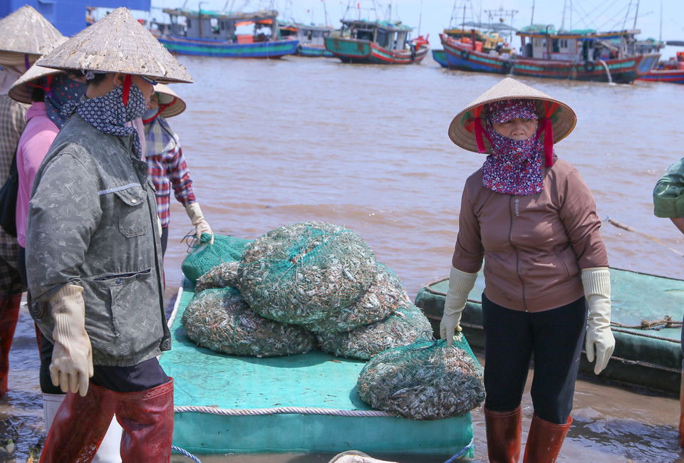 Traders transport seafood from the shore. (Photo: VNA)