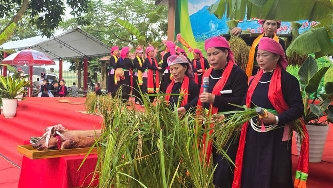 Locals perform the new rice offering ritual – a sacred ceremony praying for good harvests and prosperous lives. (Photo: VNA)