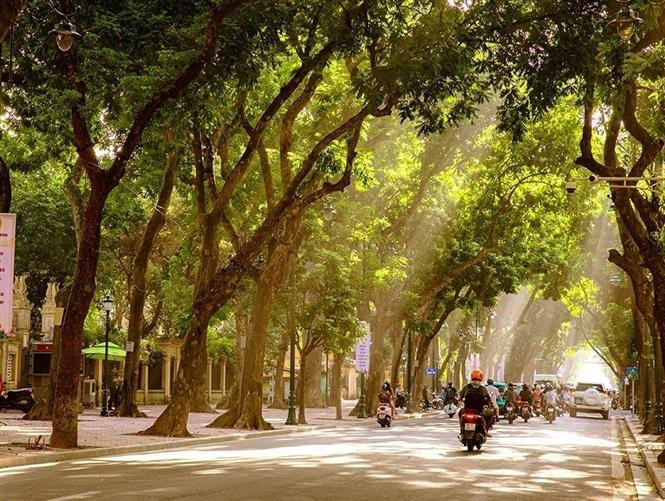 Each season brings its own charm to Hanoi, but autumn, with its soft golden sunlight and cool, gentle weather, is perhaps the most captivating and heart-stirring of all. (Photo: VNA)