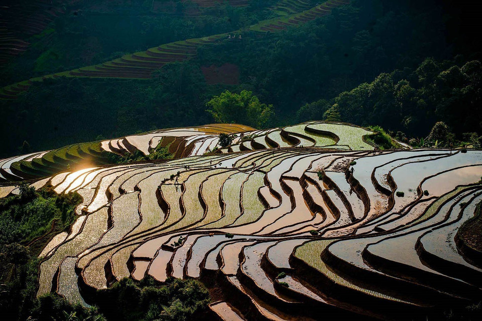 Terraced rice fields in the water-pouring season in Lao Chai commune, Lao Cai province. (Photo: VNA)