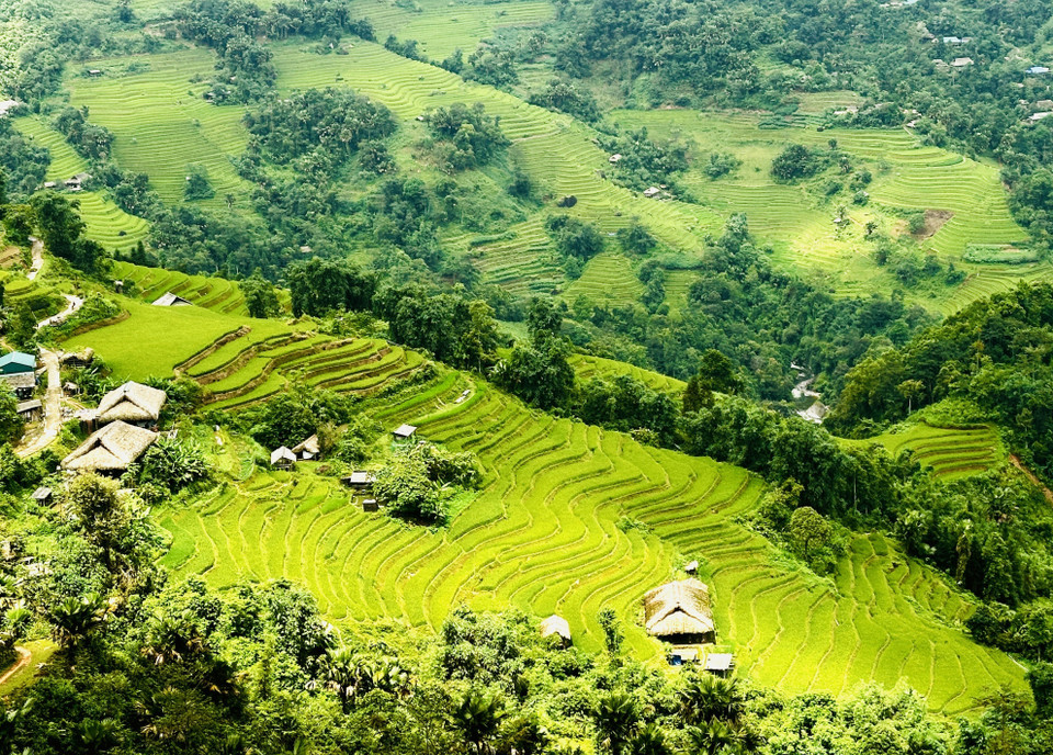 Generations of farmers in Thanh Thuy commune have carved these terraced fields into the mountainsides. (Photo: VNA)