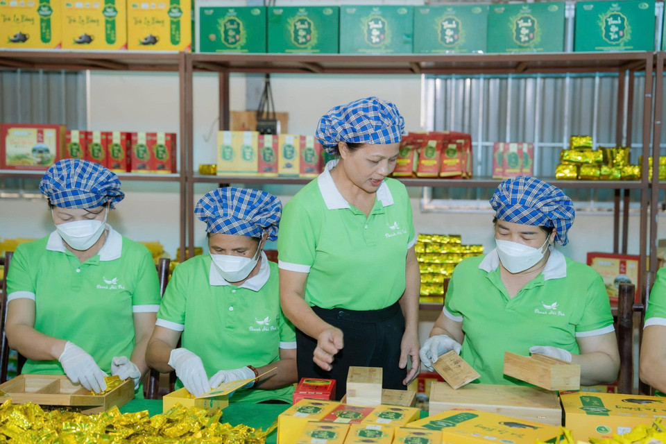Artisan Nguyen Thi Hai and cooperative members at the production workshop of La Bang Tea Cooperative. (Photo: VNA)