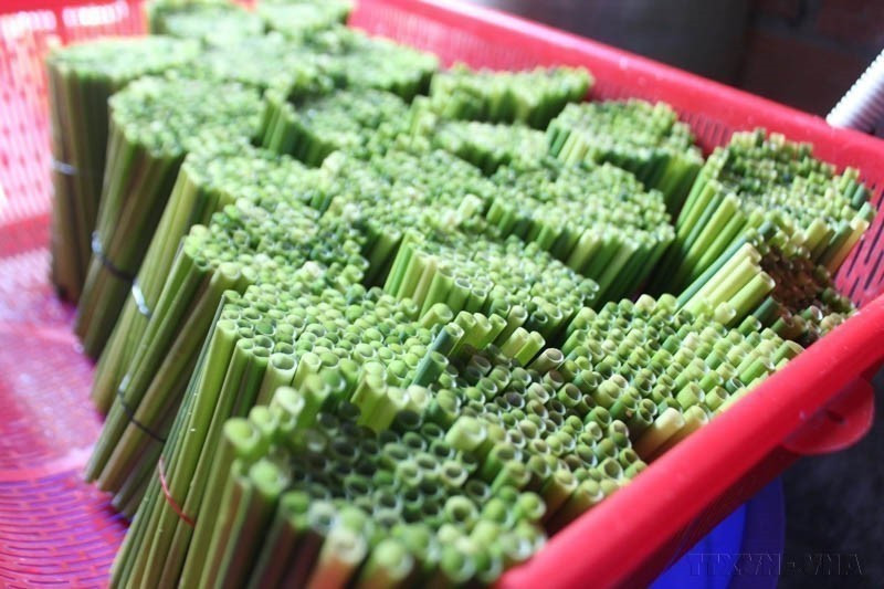 Eco-friendly grass straws are being used by many food and beverage establishments in Ho Chi Minh City as alternatives to plastic straws. (Photo: VNA)