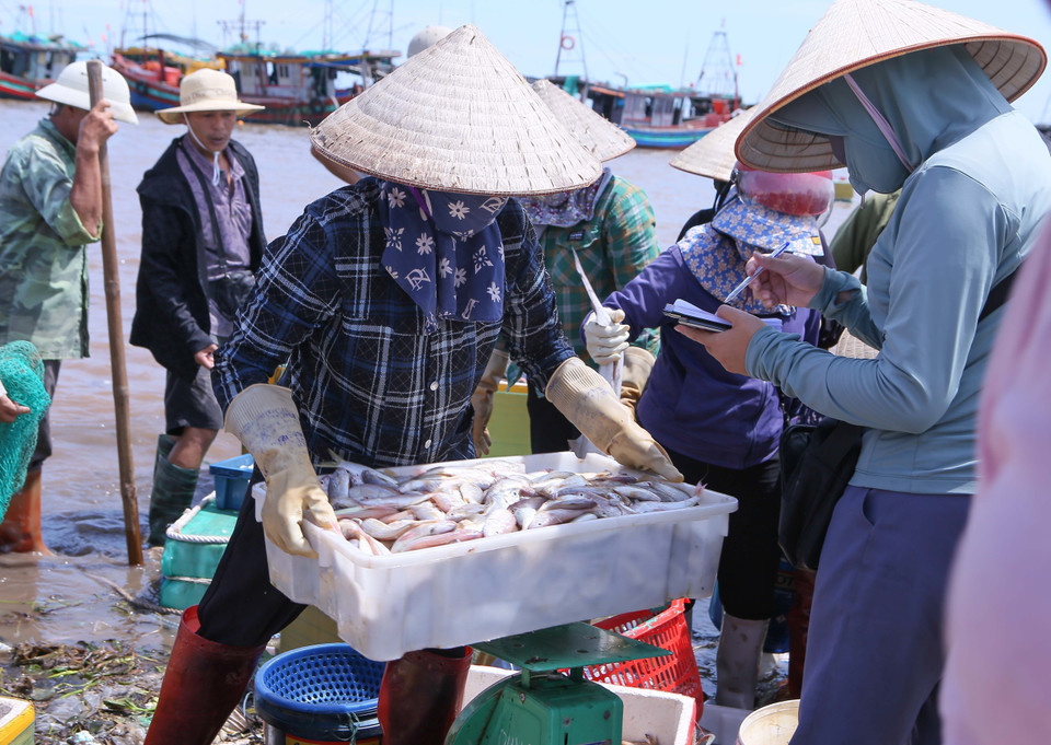 Traders come from both inside and outside the commune. (Photo: VNA)