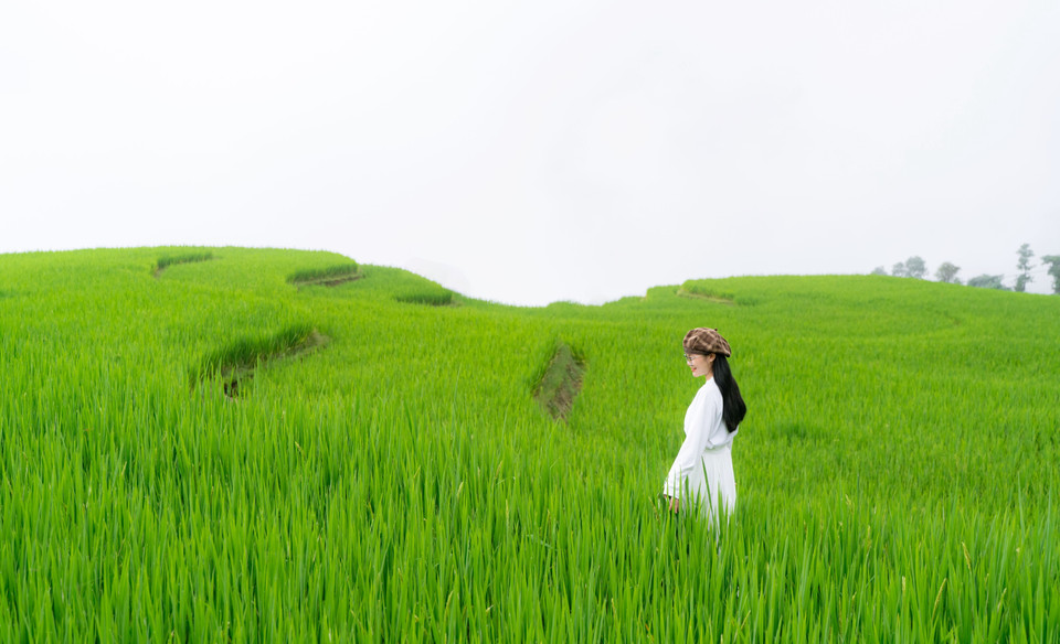 Visitors check in at Xa Phin’s terraced fields, preserving beautiful memories with photos. (Photo: VNA)