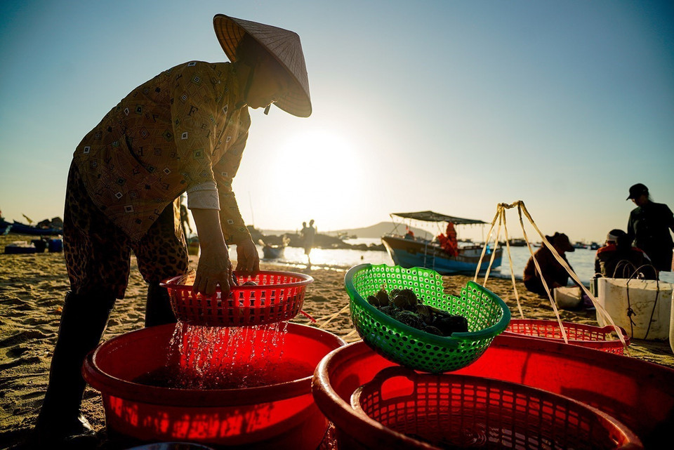 Scenes of hardworking locals reflect the humble rhythm of life in the village. (Photo: VNA)
