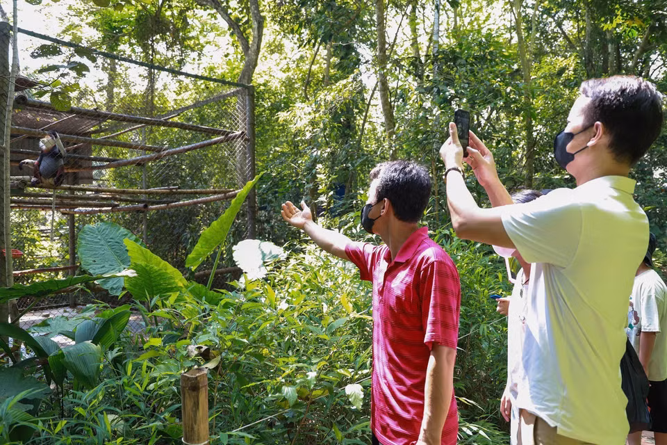 The center is open to visitors with guides, aiming to raise awareness among visitors and the community about the value of primates and nature conservation. (Photo: Van Chi/VNA)