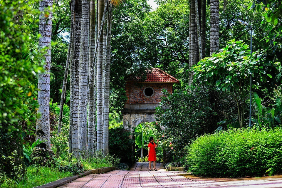 The living space of the Dinh Cong family in Muong Coi, Luong Son commune (Phu Tho province) still retains many ancient features. (Photo: VNA)