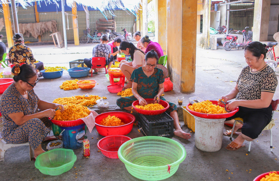 The stage of cutting silkworm cocoons. (Photo: VNA)