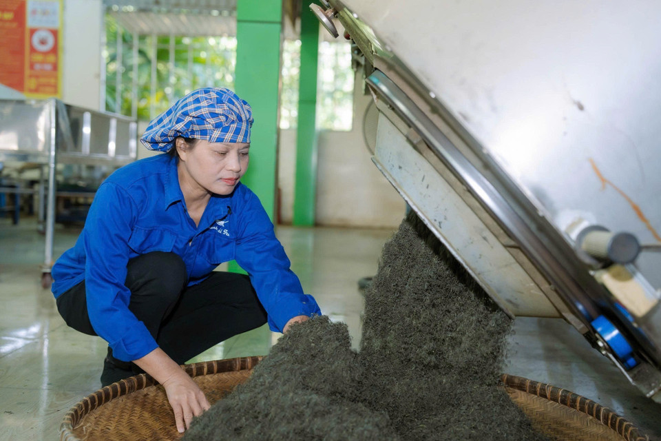 Artisan Nguyen Thi Hai at the production workshop of La Bang Tea Cooperative. (Photo: VNA)