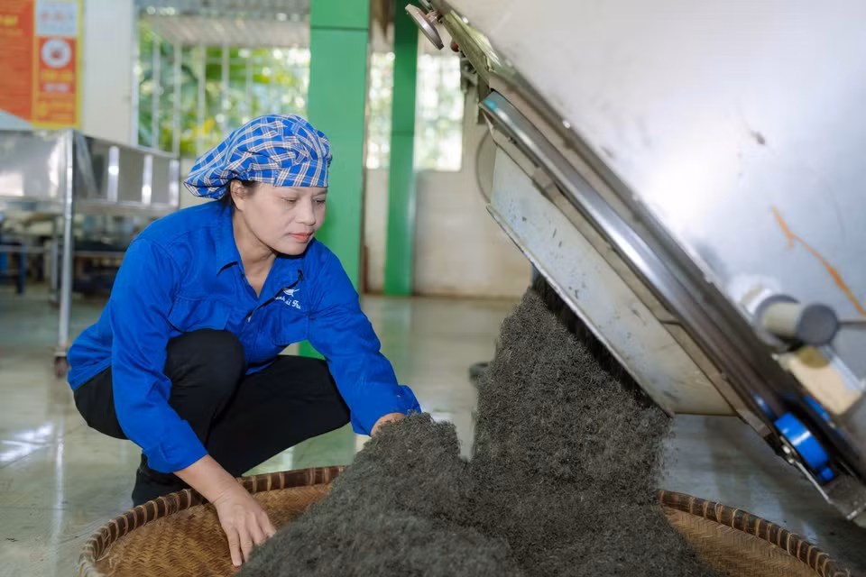 Artisan Nguyen Thi Hai at the production workshop of La Bang Tea Cooperative. (Photo: VNA)