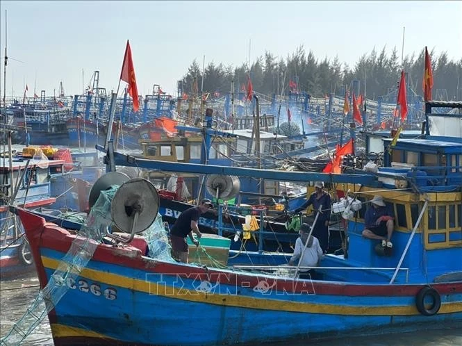 Bac Lieu province has 862 fishing vessels, of which 847 are officially registered, accounting for 96.87% of the fleet. (Photo: VNA)