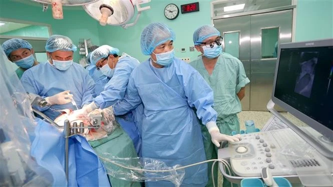 The transplant team at the Hue Central Hospital in action (Photo: VNA)