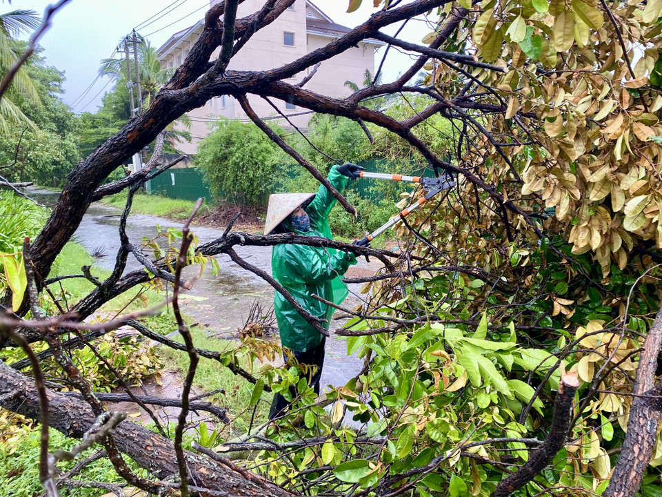 Prompt cleanup of storm damage in Quang Tri province. (Photo: Vo Dung – VNA)