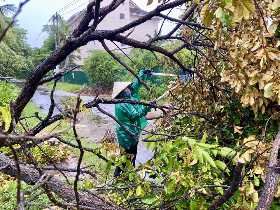 Prompt cleanup of storm damage in Quang Tri province. (Photo: Vo Dung – VNA)