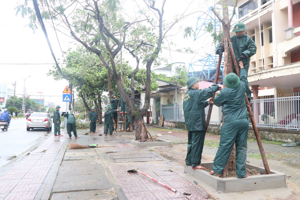 Ha Tinh province military command replants fallen trees. (Photo: Cong Tuong – VNA)