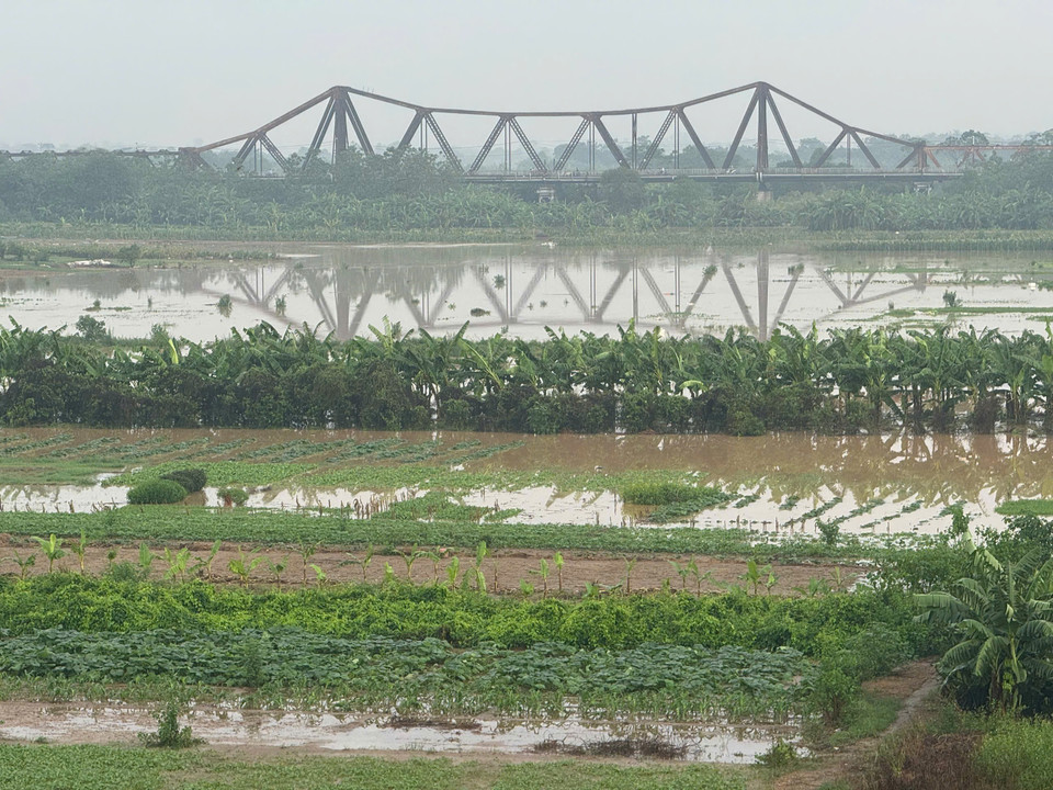 Rising waters on the Red River’s mid-bank area disrupt daily life in Hanoi. (Photo: Minh Quyet – VNA)