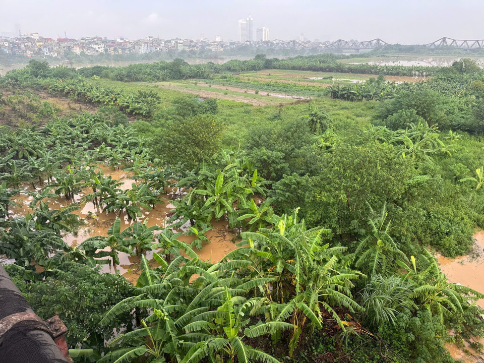 Rising waters on the Red River’s mid-bank area disrupt daily life in Hanoi. (Photo: Minh Quyet – VNA)