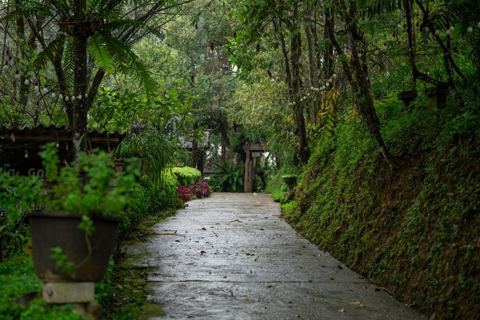 Sin Suoi Ho has also been honoured as one of the five best community tourism destinations at the 2025 Vietnam Tourism Awards. (Photo: Minh Son/Vietnam+)