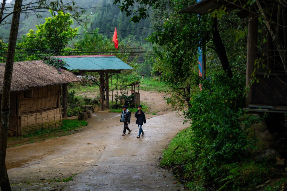 Sin Suoi Ho enjoys a clean, cool climate year-round and an untouched natural ecosystem, offering visitors stunning forest landscapes. (Photo: Minh Son/Vietnam+)