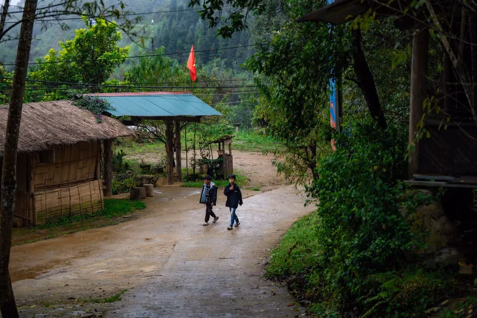Sin Suoi Ho enjoys a clean, cool climate year-round and an untouched natural ecosystem, offering visitors stunning forest landscapes. (Photo: Minh Son/Vietnam+)