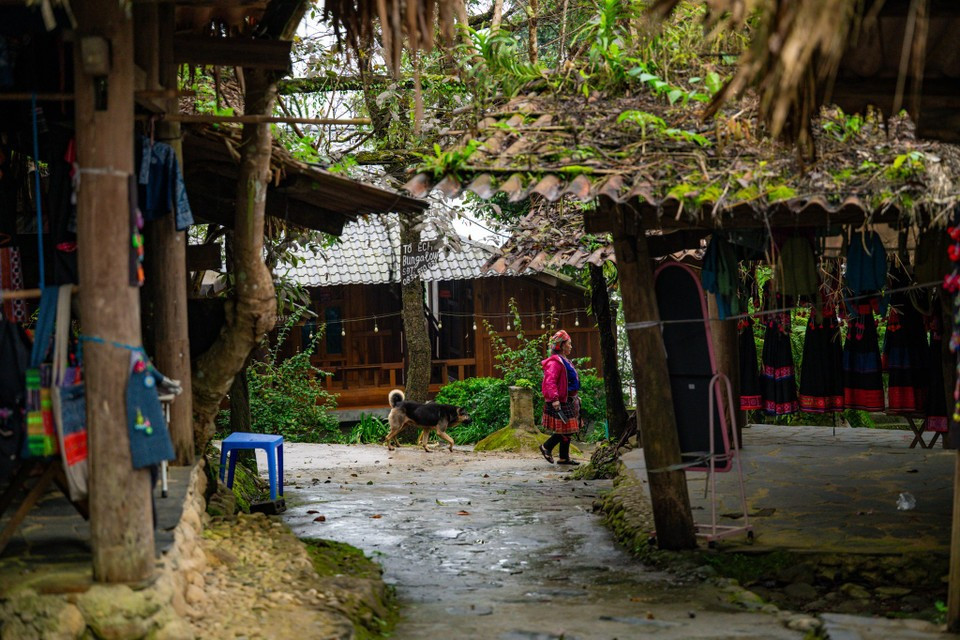 The village is often called a “heaven in the clouds,” boasting breathtaking landscapes such as the Tinh Yeu (Love) Waterfall, Trai Tim (Heart) Waterfall, and golden terraced rice fields during the harvest season. (Photo: Minh Son/Vietnam+)