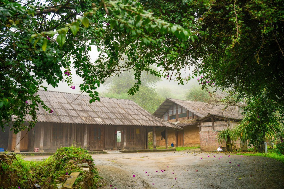 The village preserves its local values almost entirely, from traditional festivals, customs, clothing, cuisine, and house architecture to moss-covered stone fences winding along the paths leading into the village. (Photo: Minh Son/Vietnam+)