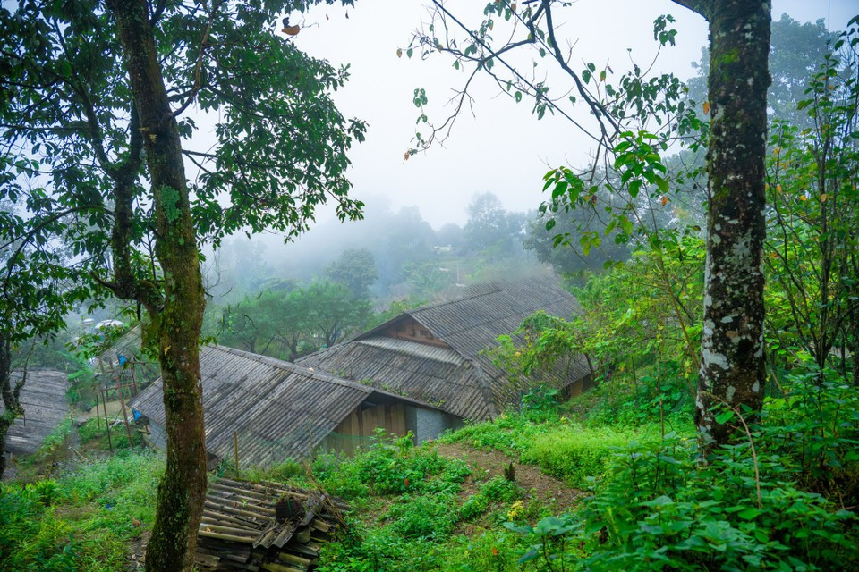 In addition to being recognised as one of the best community tourism destinations in Vietnam in 2025, Sin Suoi Ho won the ASEAN Community Tourism Award for the third time at the 2023 ASEAN Tourism Forum (ATF) and was nominated in 2024 for “Best Tourism Village in the World.” (Photo: Minh Son/Vietnam+)
