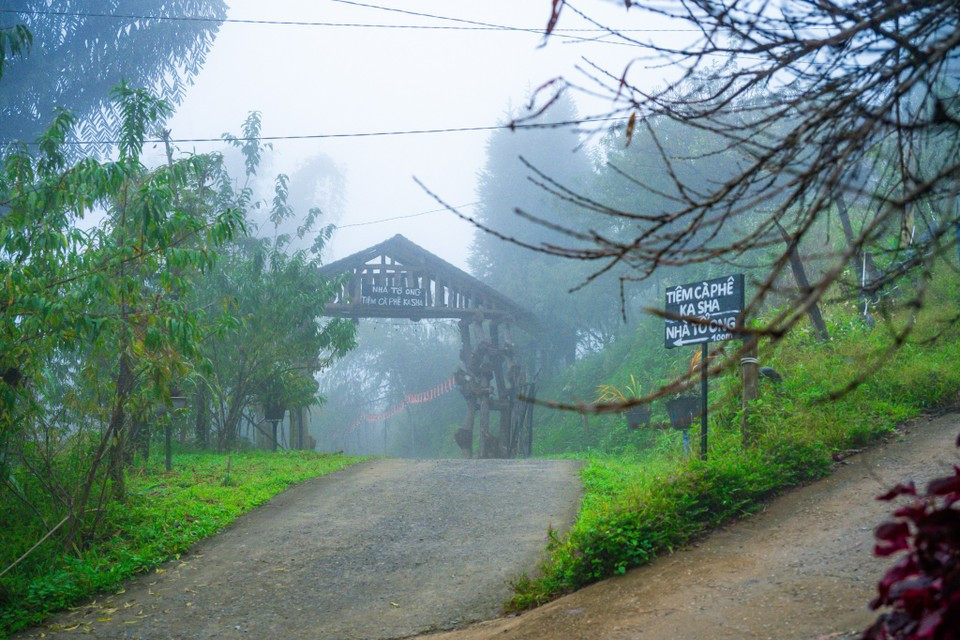 Visitors to the village can enjoy many unique experiences, from cloud hunting atop the mountains to discovering the daily life and culture of the Hmong ethnic community. (Photo: Minh Son/Vietnam+)