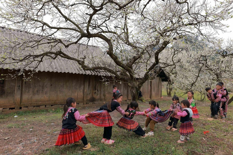 Photography serves as a powerful medium for promoting Vietnam’s culture and people to the world. In the photo: White plum blossoms in Moc Chau Plateau are beautifully captured by a Vietnam News Agency photojournalist. (Photo: VNA)