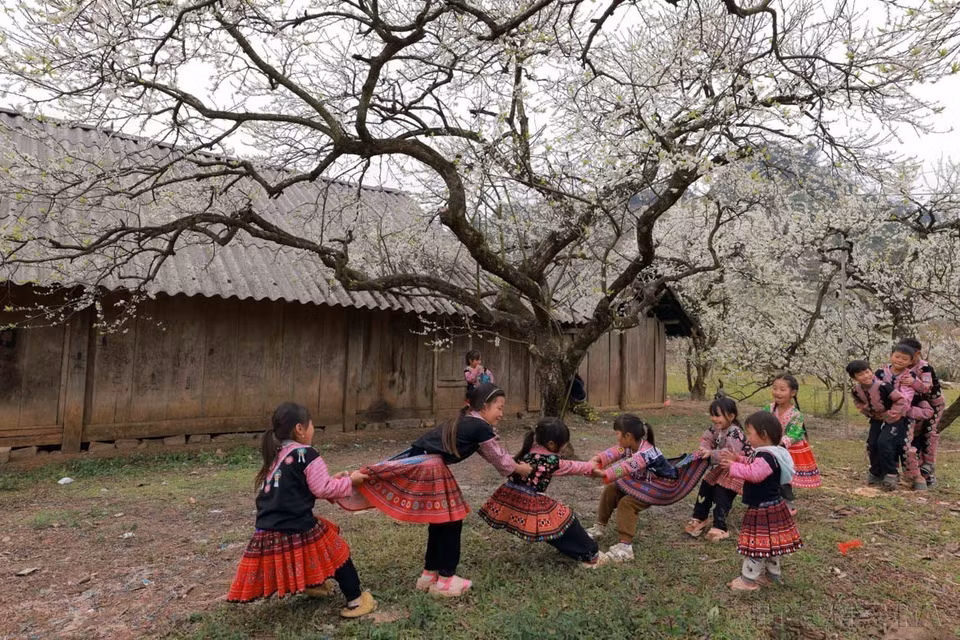 Photography serves as a powerful medium for promoting Vietnam’s culture and people to the world. In the photo: White plum blossoms in Moc Chau Plateau are beautifully captured by a Vietnam News Agency photojournalist. (Photo: VNA)