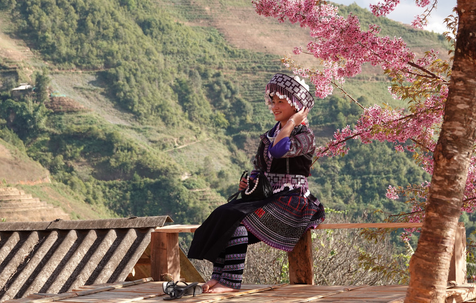 In recent years, Mu Cang Chai has hosted an annual To Day Flower Festival during the blooming season, attracting large numbers of visitors. (Photo: Tuan Anh – VNA)
