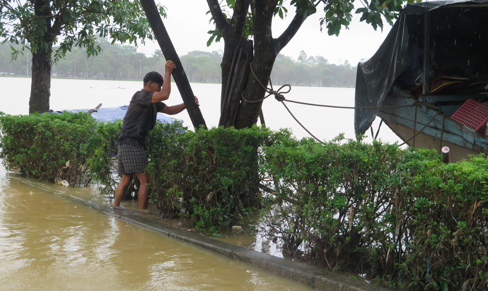 Residents in Hue City reinforce their boats to prevent them from being swept away as the Huong River rose on the morning of November 17. (Photo: Nguyen Ly – VNA)