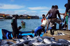 Indonesia teams up with 10 countries to combat illegal fishing