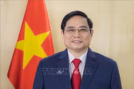 Prime Minister Pham Minh Chinh (Photo: VNA)