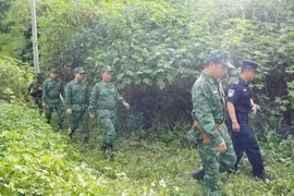 In the joint patrol between the Border Guard Command of Vietnam’s northern mountainous province of Lai Chau and a unit under the Jinshuihe border inspection station of China's Yunnan province. (Photo: VNA)