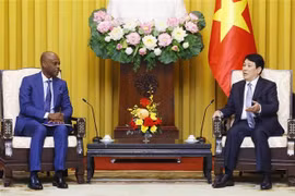 State President Luong Cuong (R) and Togo’s Minister of Foreign Affairs, African Integration and Togolese Abroad Robert Dussey at their meeting in Hanoi on January 8 (Photo: VNA)