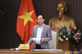 Deputy Prime Minister Bui Thanh Son speaks at the event (Photo: VNA)