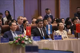 Participants at the official session of the City Partnership Forum – Da Nang 2025 held in the central coastal city on January 17. (Photo: VNA)