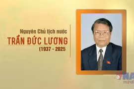 Tran Duc Luong, former member of the Politburo and former President of the Socialist Republic of Vietnam. (Photo: VNA)