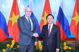 Deputy Prime Minister Tran Hong Ha (R) and his visiting Russian counterpart Dmitry Nikolayevich Chernyshenko in Hanoi on January 13. (Photo: VNA)