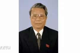 Former Politburo member and former State President Tran Duc Luong. (Photo: VNA)